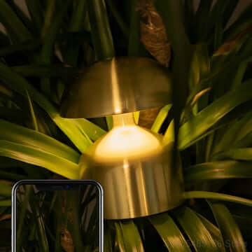 Metal Touch Sense Mushroom Nightlight Desk Lamp - Best for Restaurant Ambience and Home Decor - Stepless Dimming - Rechargeable - Battery Powered