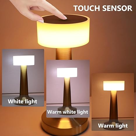 NYRWANA Table Lamp | 2000 mAh Battery | Table Lamp for Bedroom, Table Lamp for Living Room, Lamps for Bedroom, 3 Colour Touch Control - Metal (Gold)